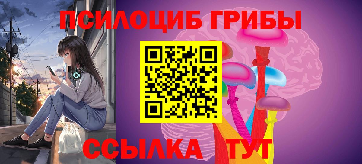 Галлюциногенные грибы Psilocybe Тверь