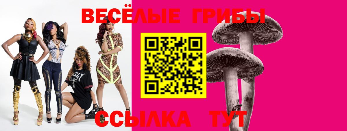 Псилоцибиновые грибы Magic Shrooms  Псилоцибиновые грибы GOLDEN TEACHER  Вход с VPN  Тверь 